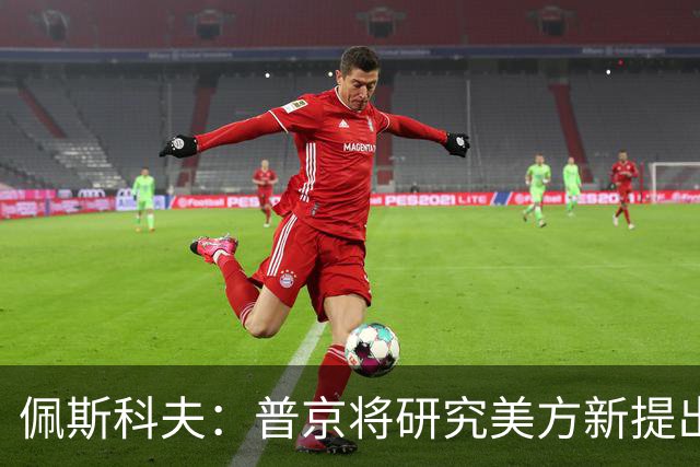 佩斯科夫：普京将研究美方新提出的乌克兰问题解决方案