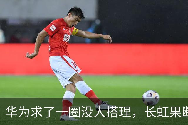 华为求了一圈没人搭理，长虹果断接盘