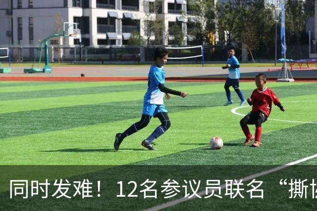 同时发难！12名参议员联名“撕协议”，全美3000多地高喊No Kings