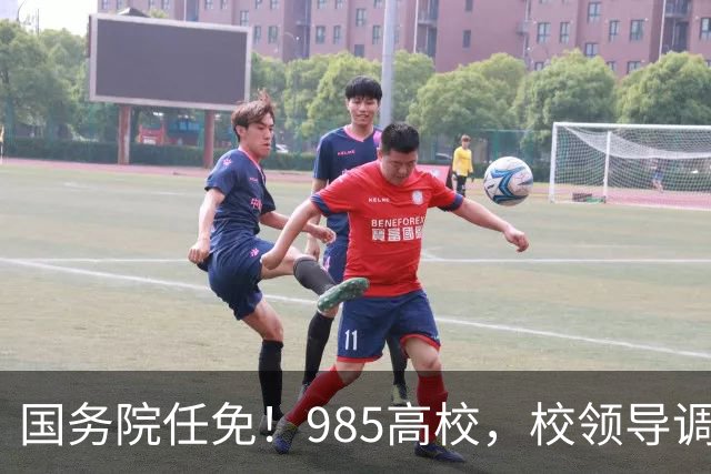 国务院任免！985高校，校领导调整