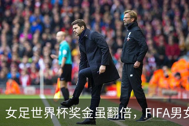 女足世界杯奖金虽翻倍，FIFA男女足同酬承诺仍落空