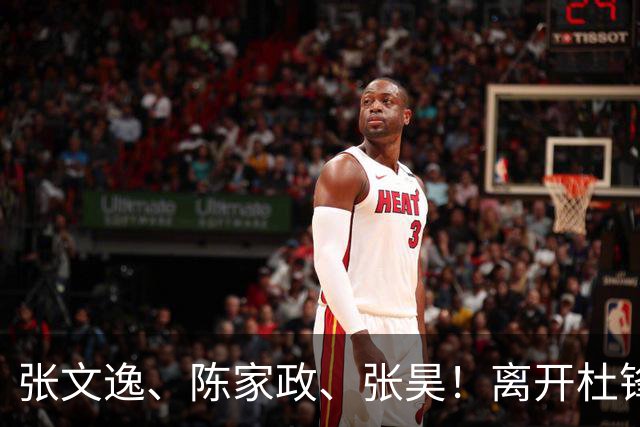 张文逸、陈家政、张昊！离开杜锋不会打球了，也没有上场时间了