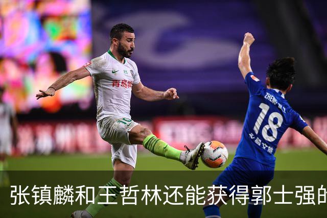 张镇麟和王哲林还能获得郭士强的青睐吗？杜锋说出大实话！