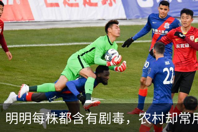 明明每株都含有剧毒，农村却常用来做腌菜，如今为何消失不见？