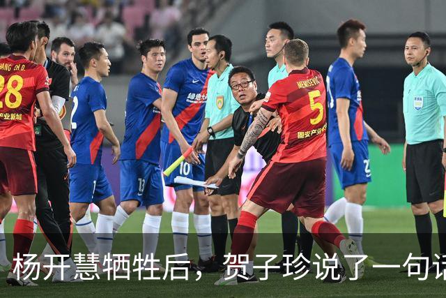 杨开慧牺牲后，贺子珍说了一句话，毛主席生气：你应有革命同情感