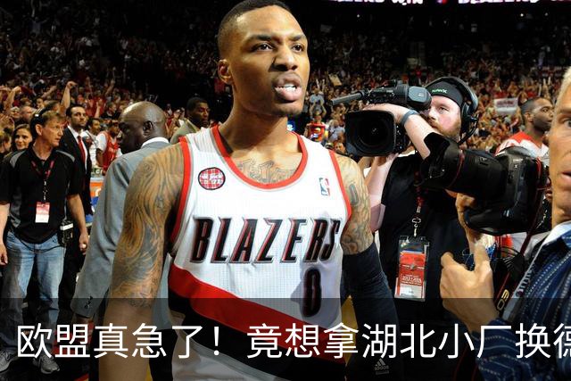 欧盟真急了！竟想拿湖北小厂换德国12人作坊，阿斯麦供应链要断了