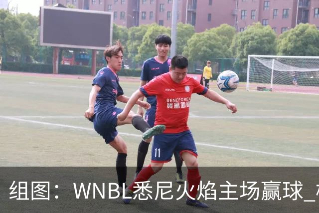 组图：WNBL悉尼火焰主场赢球 杨舒予与队友庆祝胜利