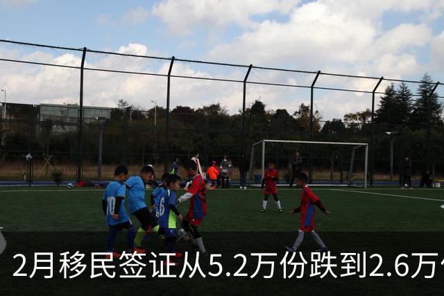 2月移民签证从5.2万份跌到2.6万份，合法移民也被砍了一半